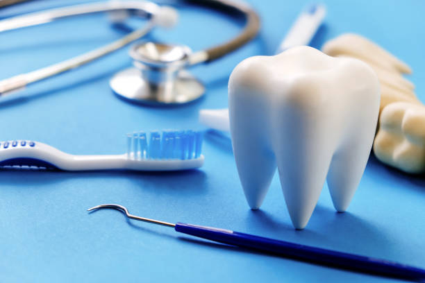 Best Emergency Dental Care  in Madeira Beach, FL